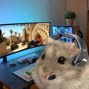 YANDEX365's avatar
