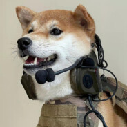 比太阳更光！！！