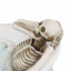 Peaceful Blessed Skeleton