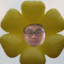 总云花