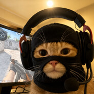 MeowBot