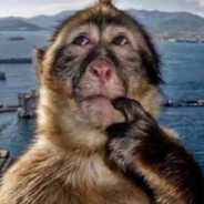 you are my moooonliiiigghhttttt