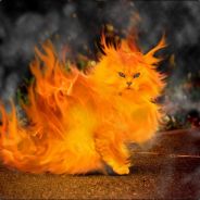 Kraknor - steam id 76561197960800935