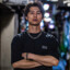 枯了的梅子树