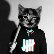 [NE GAD]PRO_V_NOSKAX