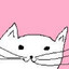 over-caffeinated cat