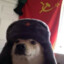 ☭ Cãomonista ☭