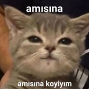 APO SİKEN - steam id 76561199388451609