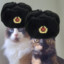 ☭ El Gatitos Sovieticos ☭