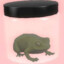 Toad in a Jar