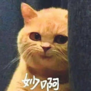 我叫玉米面手雷王