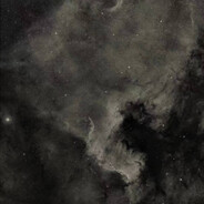 Misty - The Goddamned Bird