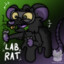 LabRat
