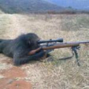 Sniper Monkey