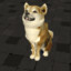 Angy Shiba