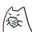 A9