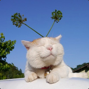 敲里吗
