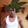 Steam avatar of Super Causayin