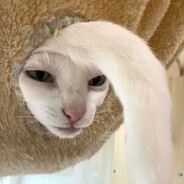 JABATO - steam id 76561198097518897