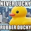 Ninja Duck