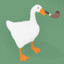 Sir GoOse