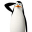 ykrop