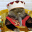 Emperor Cat II