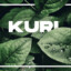 Kuri