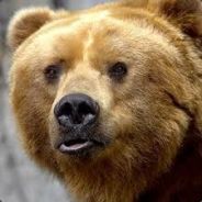 Mr Na1L - steam id 76561197965720644