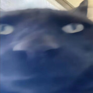 小猫拿睫毛夹夹老奶奶脚后跟