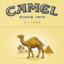 Camel Yellow