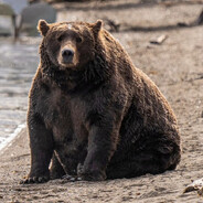 Giga Bear