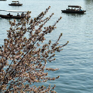 风吹辟谷淡淡凉