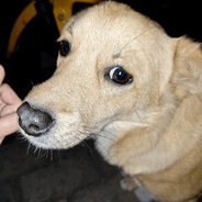 她说戴套不算给