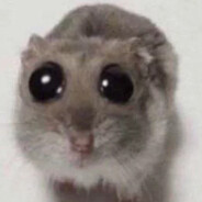 Spy