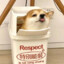 2024