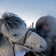 苏苏林里的凑凑的整片苏苏林