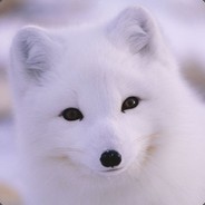 Ljk_Foux