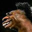 ERICK