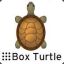 Box Turtle