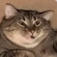 刘建龙高级犟嘴学校