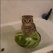 dammmmmamazincat Steam avatar
