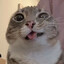 BBBB
