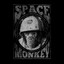 Space Monkey