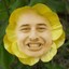 Buttercup