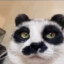 Pxng Soybad