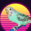 Parrot