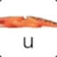 u