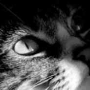 KliternuiManyak avatar