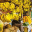 Afghanistan Banana Stand